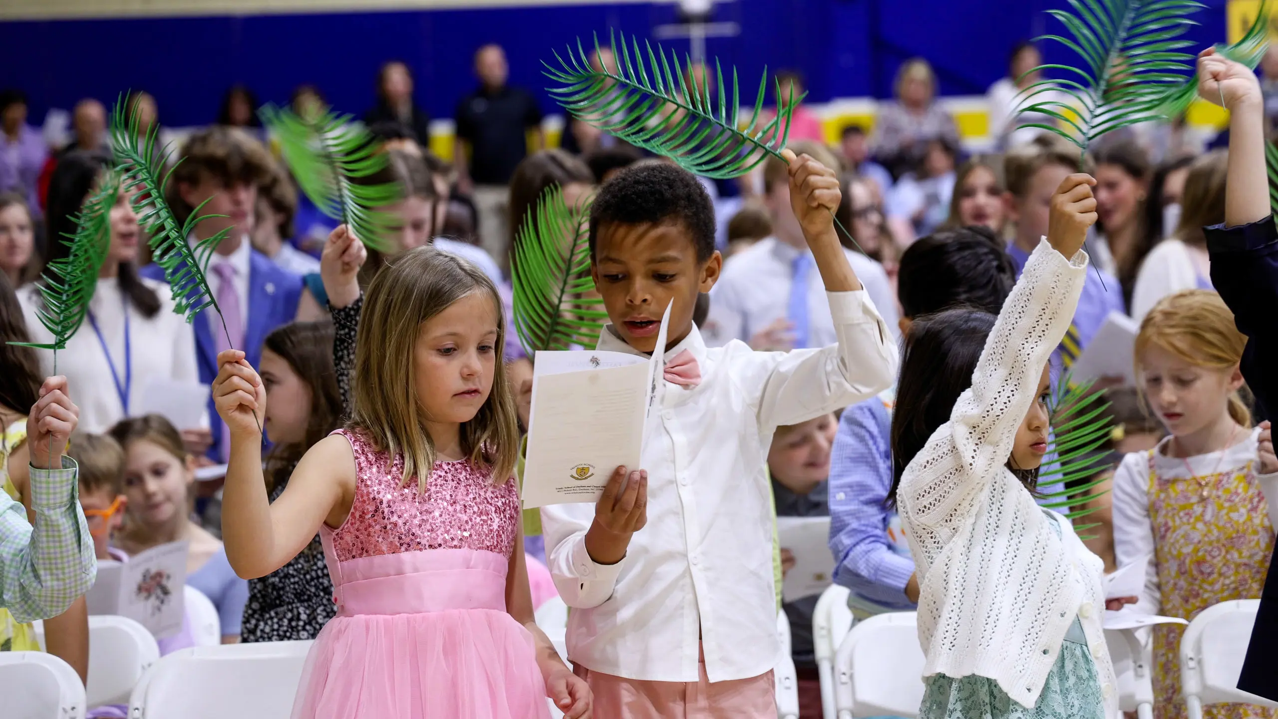 OptimizedImage,,,Optimized