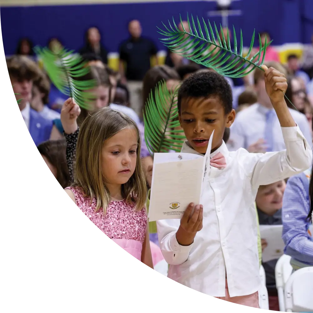 OptimizedImage,Optimized