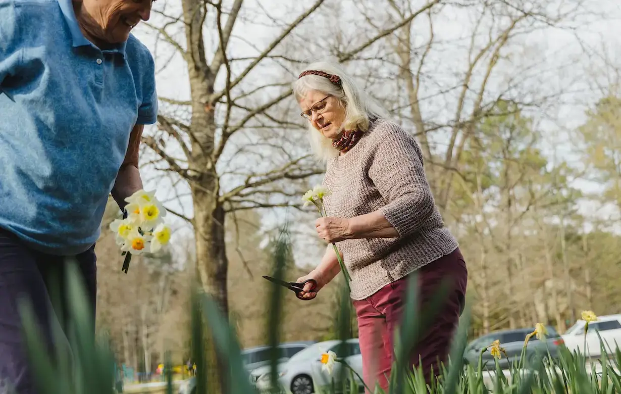 A woman stands with scissors over a grass full of daffodils and one in her hand